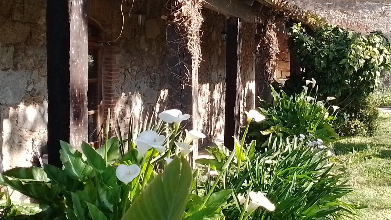 Casa Rural El Refugi Platja D'Aro 4 Romanyá de la Selva Екстериор снимка